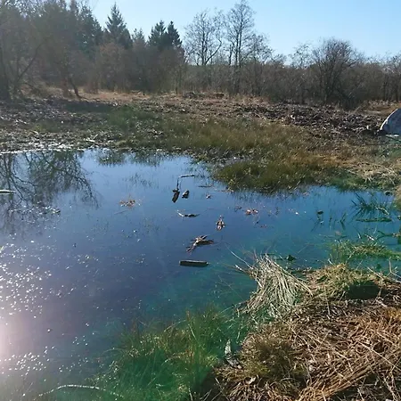 Freilingen 74 펜션