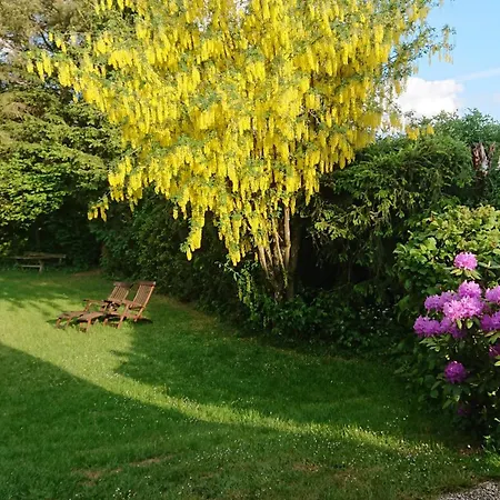 펜션 Freilingen 74 블랑켄하임