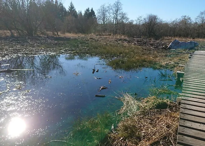 Freilingen 74 Casa vacanze