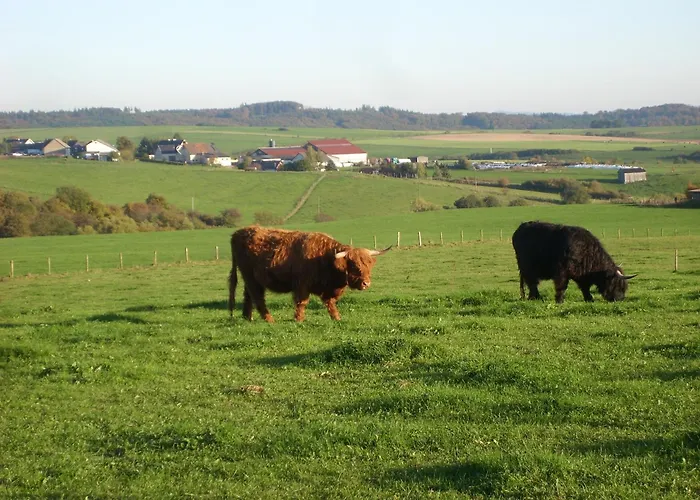 Freilingen 74 Blankenheim (North Rhine-Westphalia)